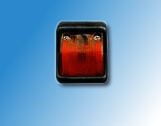 ����鿴��