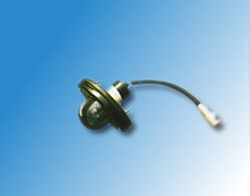 ����鿴��