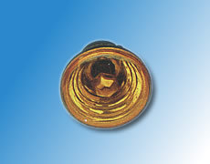 ����鿴��