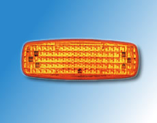 ����鿴��