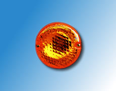 ����鿴��