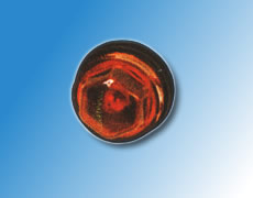 ����鿴��