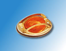 ����鿴��