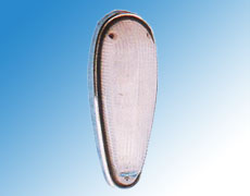 ����鿴��