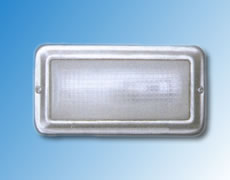 ����鿴��